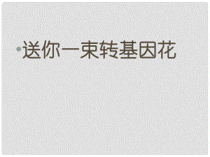 海南省昌江縣礦區(qū)中學(xué)八年級(jí)語文上冊 第六單元 送你一束轉(zhuǎn)基因花課件 蘇教版