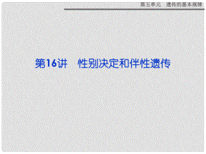 高考生物一輪復(fù)習(xí) 第五單元 第16講 性別決定和伴性遺傳課件 蘇教版1