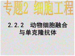 高中生物 專題2課題2第二課時(shí) 動物細(xì)胞融合與單克隆抗體課件 新人教版選修3