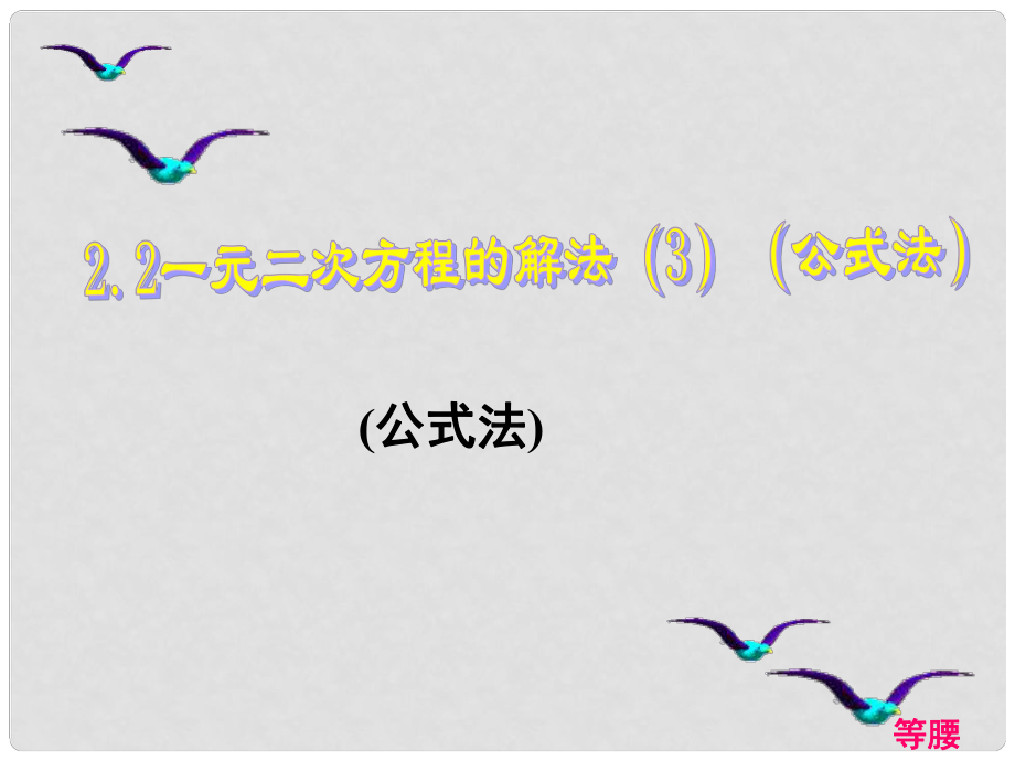 浙江省蒼南縣靈溪鎮(zhèn)第十中學八年級數(shù)學下冊 2.2 一元二次方程解法課件（3）（新版）浙教版_第1頁