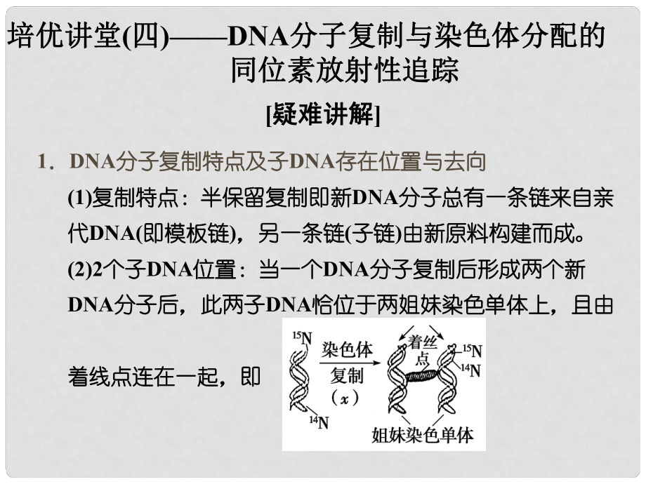 高考生物 培優(yōu)講堂 DNA分子復(fù)制與染色體分配的同位素放射性追蹤課件 新人教版必修2_第1頁