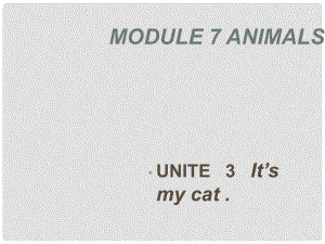 七年級(jí)英語Module 7 Unit3 It’s my cat 課件外研版