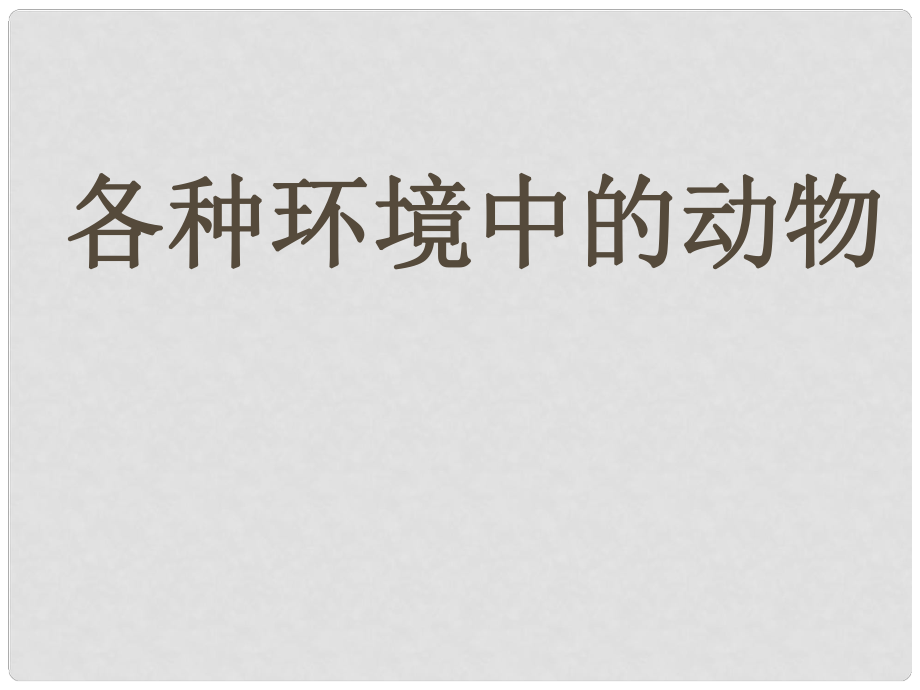 八年級(jí)生物上冊(cè) 水中生活的動(dòng)物課件 人教新課標(biāo)版_第1頁(yè)