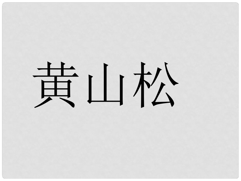 五年級(jí)語文下冊(cè) 黃山松課件（1） 長(zhǎng)版_第1頁