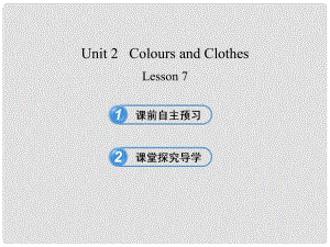 甘肃省玉门市花海中学七年级英语上册 Unit 2 Colours and Clothes Lesson 7 Jenny's New Skirt课件 冀教版
