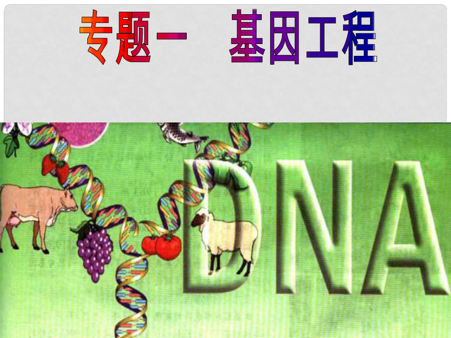 江蘇省宿遷市馬陵中學(xué)高考生物專題復(fù)習(xí) DNA基本工具重組技術(shù)的課件_第1頁