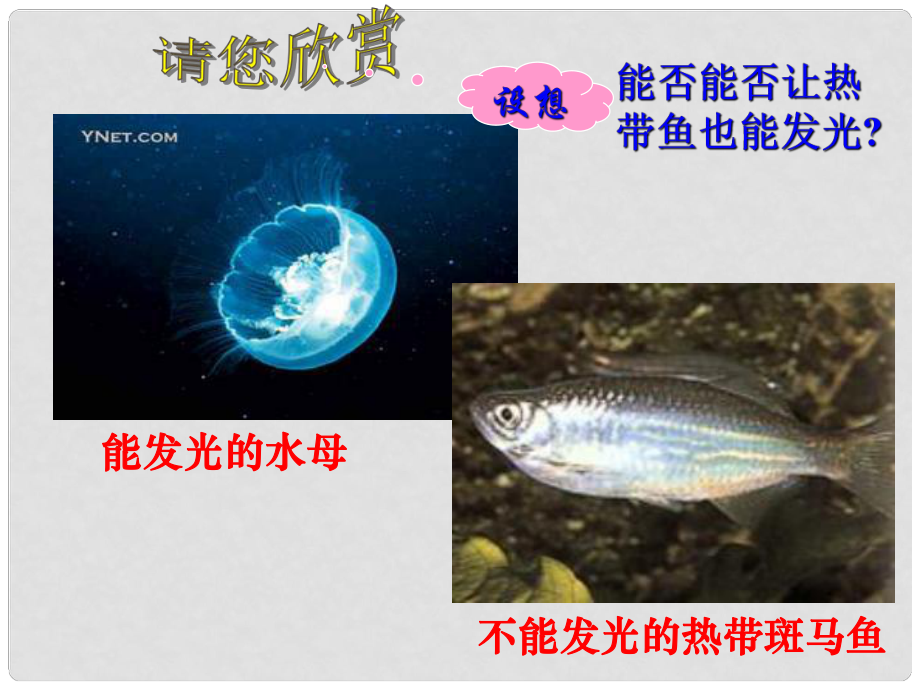 高中生物 第六章 第2節(jié) 基因工程及其應(yīng)用課件2 新人教版必修2_第1頁(yè)