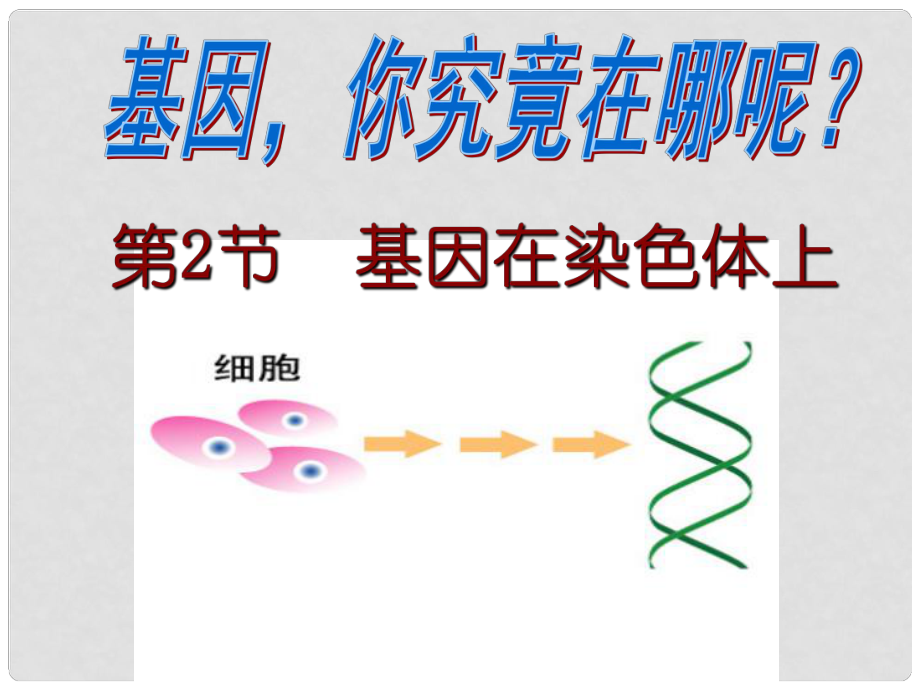 湖南省懷化市湖天中學(xué)高中生物 第2章 第2節(jié) 基因在染色體上課件 新人教版必修2_第1頁