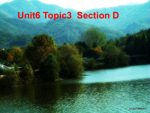 九年級(jí)英語Unit6 Topic 3 Section D 課件湘教版Unit6 Topic3Section D