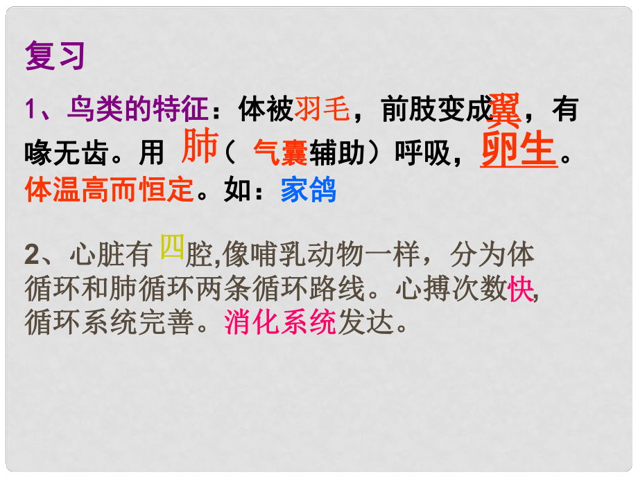 廣東省臺山市新寧中學八年級生物下冊 第四節(jié) 鳥的生殖和發(fā)育課件 新人教版_第1頁