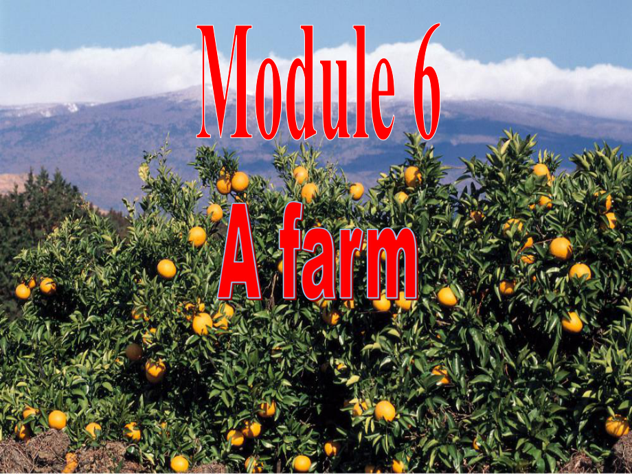 八年級英語Module 6 A Farm Unit 3 Many farmers grow ricefruitvegetables or tea課件外研版_第1頁