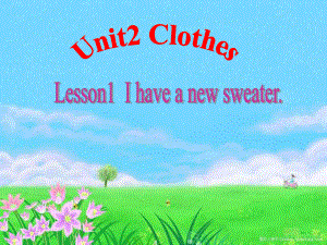 魯科版英語三年級(jí)下冊(cè)Unit 2Lesson 1 I have a new sweater課件4