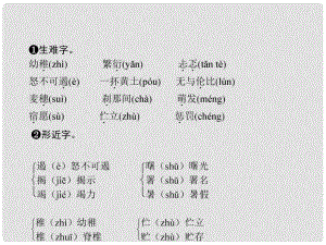 九年級語文上冊 第二單元 8 致女兒的信課件 新人教版