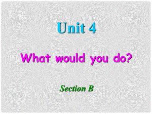 廣西東興市江平中學(xué)九年級英語全冊 Unit 4 What would you do？課件2 人教新目標(biāo)版