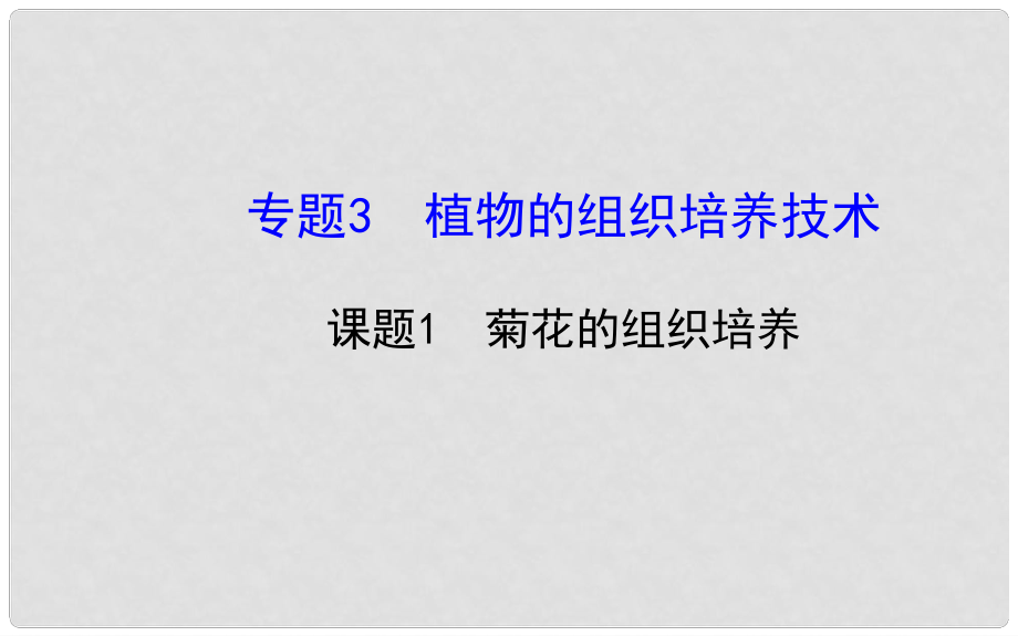 高中生物 專題3課題1 菊花的組織培養(yǎng)精講導學課件 新人教版選修1_第1頁