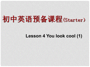 江蘇省永豐初級中學七年級英語 Starter Lesson 4 You look cool課件 牛津譯林預備版