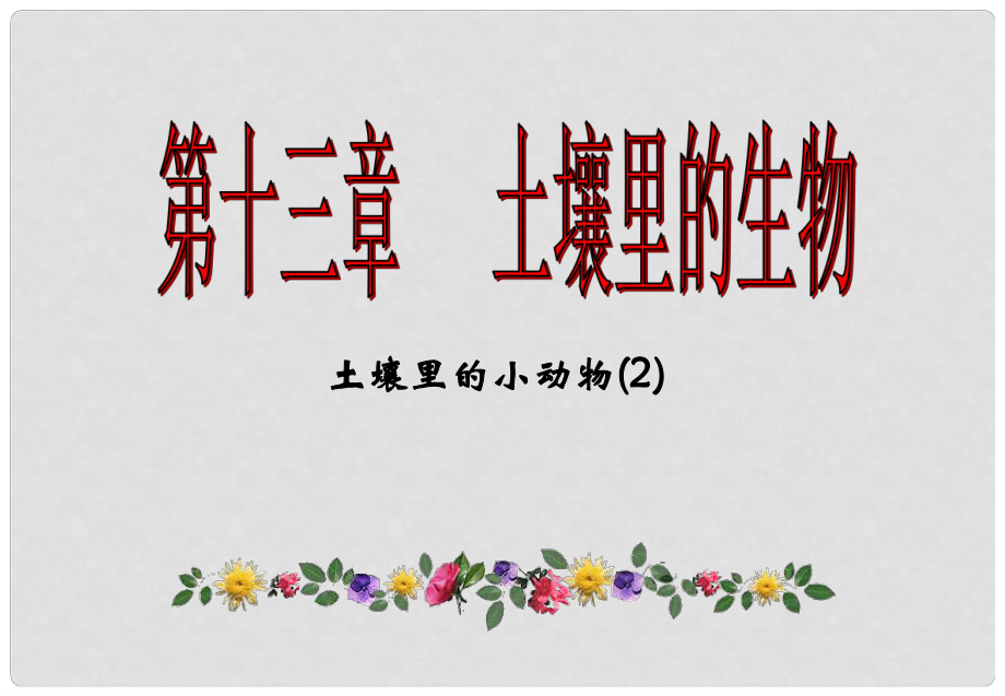 江蘇省揚(yáng)中市同德中學(xué)七年級生物下冊 131 土壤里的小動物課件2 （新版）蘇科版_第1頁