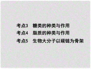 高中生物 專題一 考點35 糖類的種類與作用、脂質(zhì)的種類與作用、生物大分子以碳鏈為骨架學(xué)業(yè)水平測試復(fù)習(xí)課件 新人教版