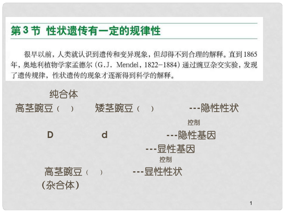 山東省壽光市實(shí)驗(yàn)中學(xué)八年級(jí)生物上冊(cè) 20.3 性狀遺傳有一定的規(guī)律性課件 （新版）北師大版_第1頁