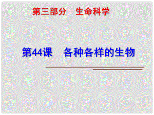 科學中考第一輪復習 第三部分 生命科學 第44課 各種各樣的生物課件