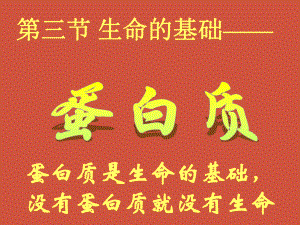 第一章關(guān)注營養(yǎng)平衡第三節(jié) 生命的基礎(chǔ)－蛋白質(zhì)