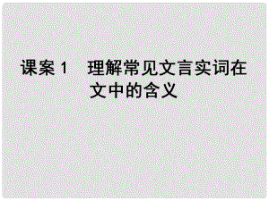 高考語(yǔ)文一輪復(fù)習(xí) 專題2文言文閱讀 課案1 理解常見(jiàn)文言實(shí)詞在文中的含義課件