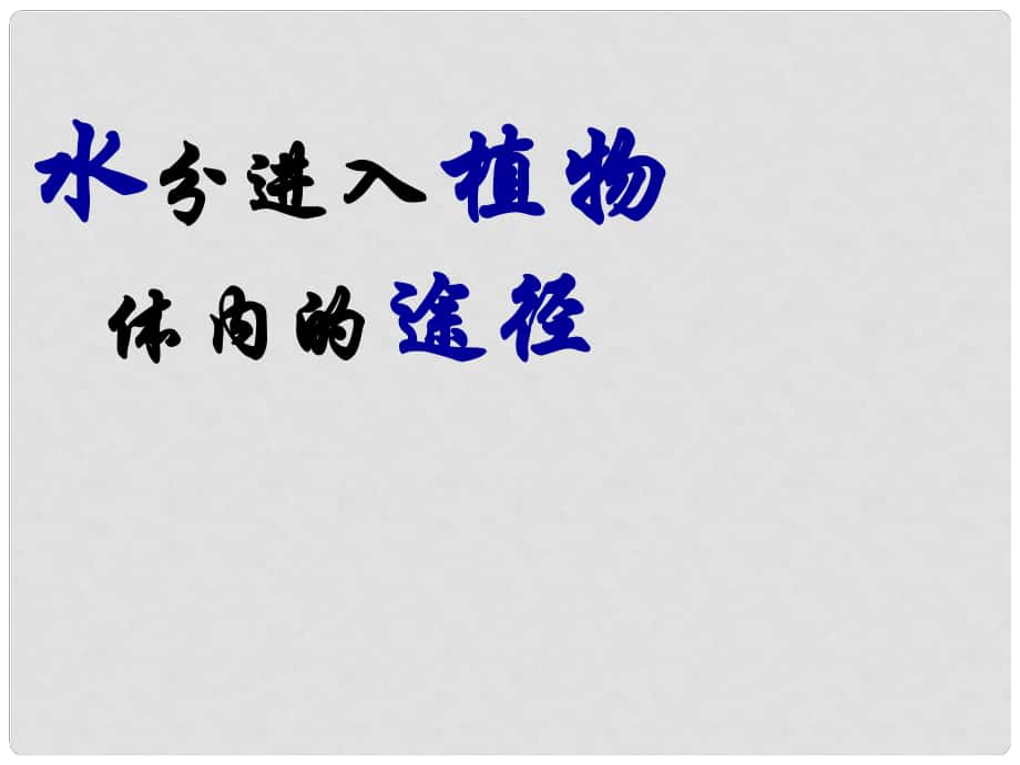 山东省淄博市桓台县起凤中学七年级生物上册 水分进入植物体的途径课件 鲁科版_第1页