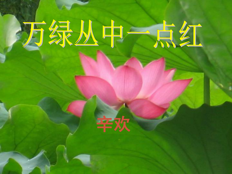 五年級(jí)美術(shù)上冊(cè) 萬綠叢中一點(diǎn)紅課件 人教新課標(biāo)版_第1頁