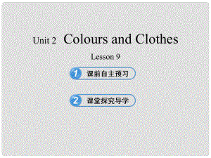 甘肅省玉門市花海中學七年級英語上冊 Unit 2 Colours and Clothes Lesson 9 Whose Coat Is This？課件 冀教版