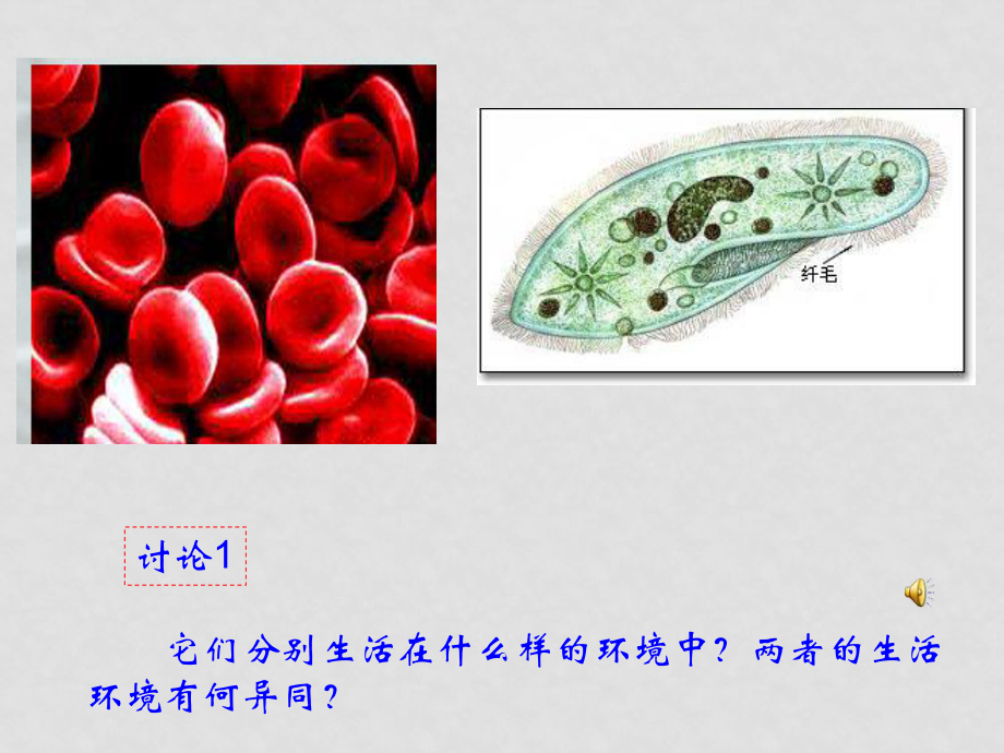 高考生物专题复习 内环境稳态_第1页