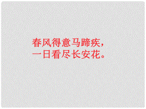 浙江省溫州市龍灣區(qū)實驗中學九年級語文上冊 第19課《范進中舉》課件 新人教版