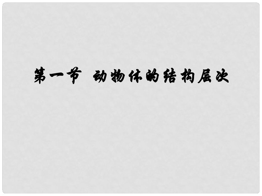 七年級生物上冊 第三章 第一節(jié) 動物體的結(jié)構(gòu)層次課件 新人教版_第1頁