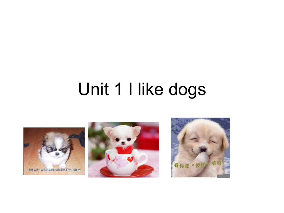 苏教译林版英语四年级上册Unit 1I like dogs课件2_第1页