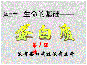 選修1 第一章關(guān)注營養(yǎng)平衡 第三節(jié)生命的基礎(chǔ)蛋白質(zhì)