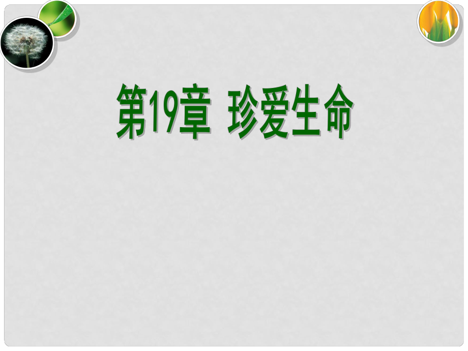 江蘇省南京市長(zhǎng)城中學(xué)八年級(jí)生物上冊(cè) 珍愛生命課件 蘇教版_第1頁(yè)