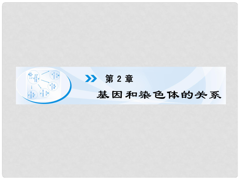 高中生物 第5章 第2節(jié) 減數(shù)分裂課件 新人教版必修2_第1頁(yè)