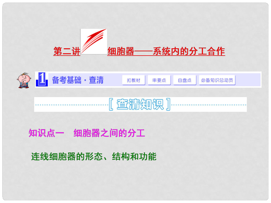 高考生物大一輪復(fù)習(xí) 第二單元 第二講 細(xì)胞器 系統(tǒng)內(nèi)的分工合作課件 新人教版必修1_第1頁