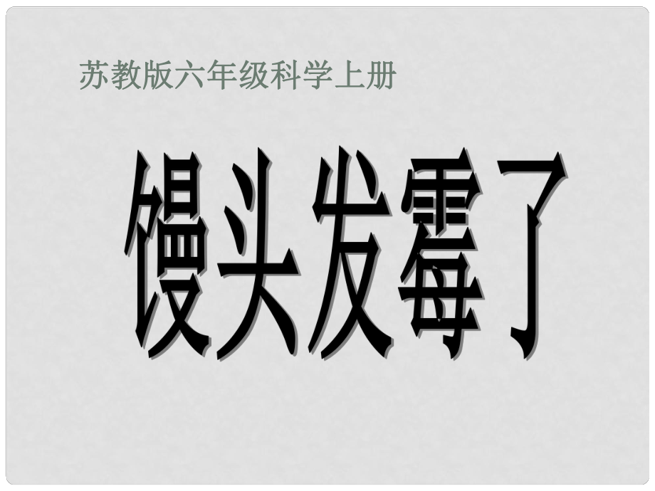 六年級(jí)科學(xué)上冊(cè) 饅頭發(fā)霉了課件1 蘇教版_第1頁(yè)