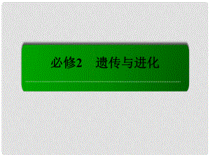 高考生物一輪總復(fù)習(xí) 第3章 第2、3、4節(jié) DNA分子的結(jié)構(gòu) DNA的復(fù)制 基因是有遺傳效應(yīng)的DNA片段課件 新人教版必修2