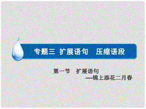 高考語文一輪復習 語言文字運用 專題三 第1節(jié) 擴展語句課件