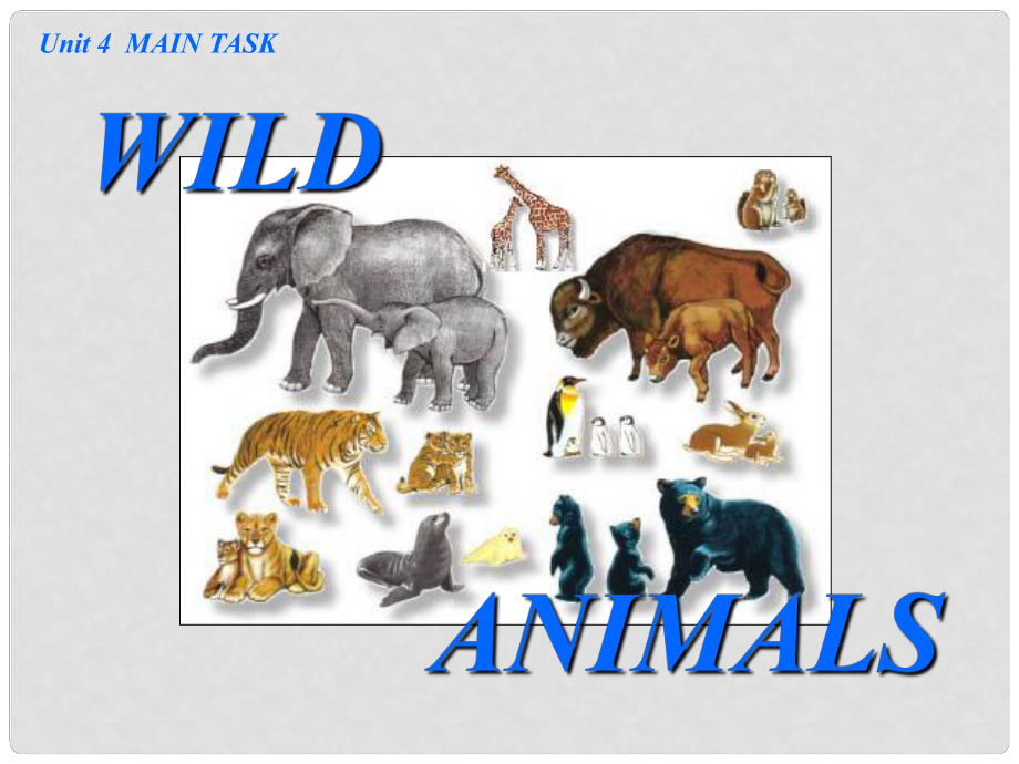 江蘇省永豐初級中學(xué)八年級英語上冊 Unit 4 Wild animals Main Task課件2 牛津版_第1頁