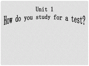 廣西東興市江平中學九年級英語全冊 Unit 1 How do you study for a test？課件1 人教新目標版