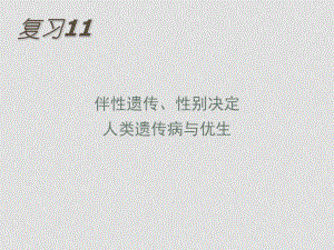 高中生物 伴性遺傳、性別決定 人類(lèi)遺傳病與優(yōu)生 課件