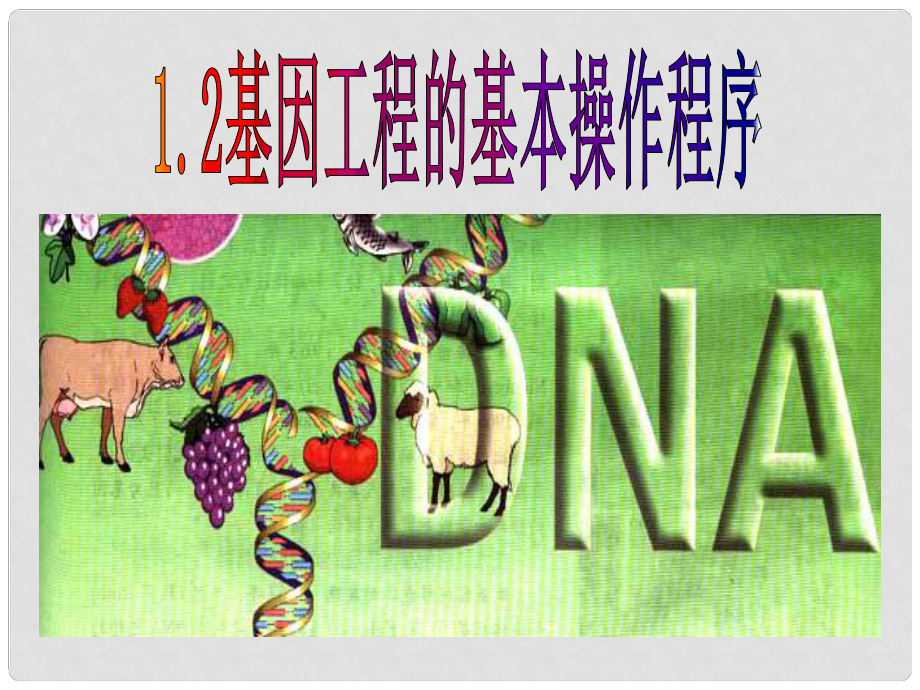 高中生物 專題1第二節(jié) 基因工程的基本操作過程課件1 新人教版選修3_第1頁