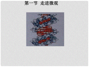 八年級(jí)物理下冊(cè) 第十章 第一節(jié) 走進(jìn)微觀課件 滬科版