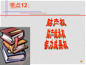 廣東省佛山市順德區(qū)大良順峰初級中學七年級政治下冊 考點9 保護財產權課件 新人教版