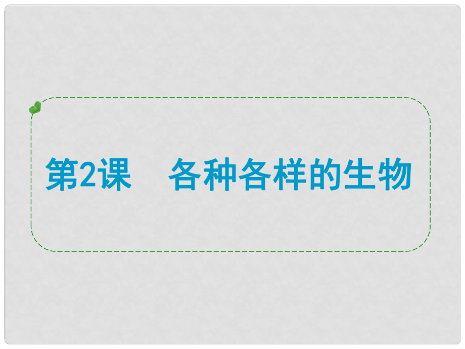 浙江省蒼南縣括山學(xué)校九年級科學(xué) 第2課 各種各樣的生物復(fù)習(xí)課件_第1頁