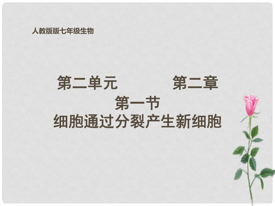 江西省贛縣第二中學七年級生物上冊 第一節(jié) 細胞通過分裂產生新細胞課件 新人教版_第1頁