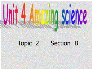 九年級英語Unit4 Topic 2 Section B 課件仁愛版SectionB