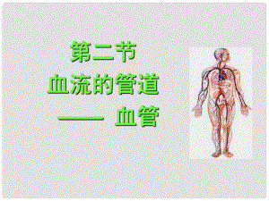 山東省淄博市高青縣第三中學(xué)八年級生物上冊 第四章 血管課件 魯科版